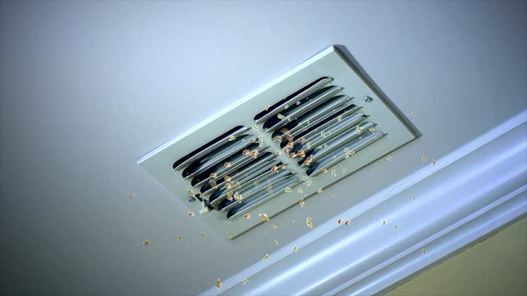 Best Affordable Duct Cleaning Services  in Hobbs, NM
