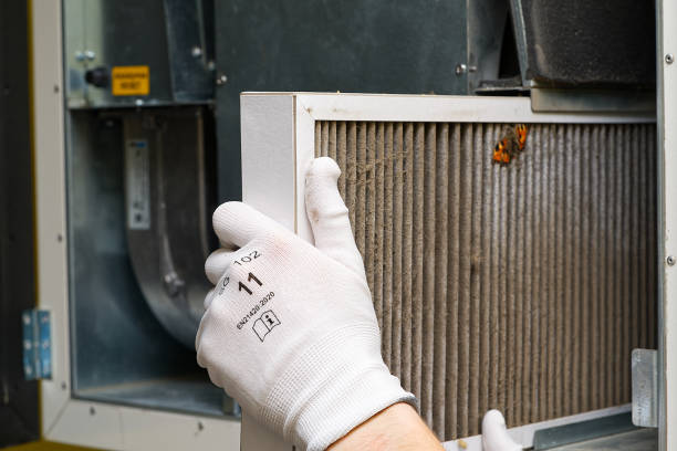 Best Dryer Vent Cleaning Services  in Hobbs, NM