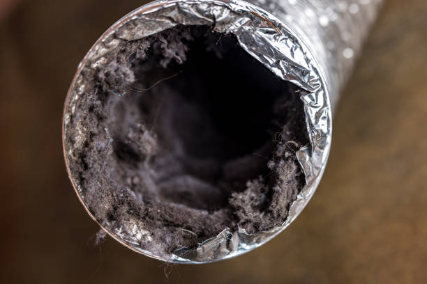 Best HVAC Duct Inspection Services  in Hobbs, NM
