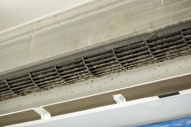 Best Commercial HVAC Duct Cleaning  in Hobbs, NM